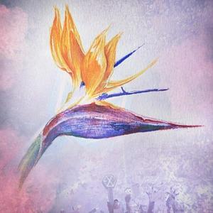 失控(With My Love)