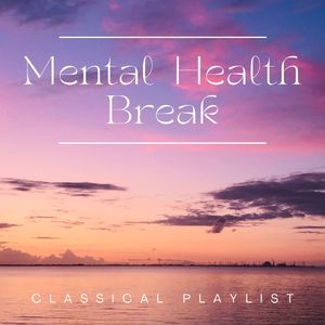 Symphony No.1 In C Minor, Op. 68 : 1. Un Poco Sostenuto, Allegro