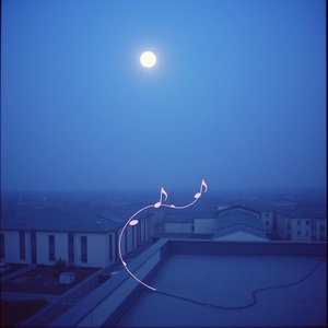 Midnight Rooftop Serenade