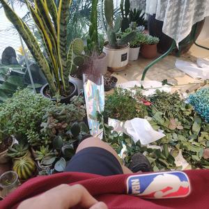 我想（cover法老）_2022-03-26_231900