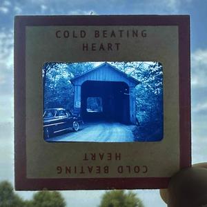 Cold Beating Heart (Single Mix)