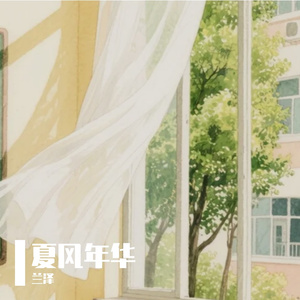夏风年华
