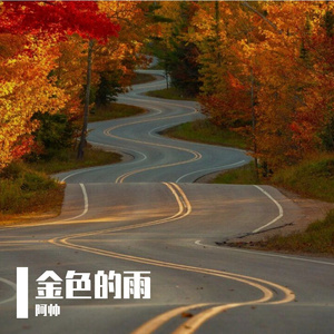 金色的雨