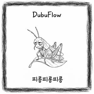궁금한 노래