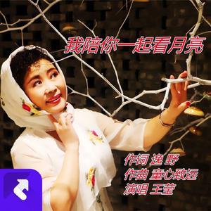 我陪你一起看月亮