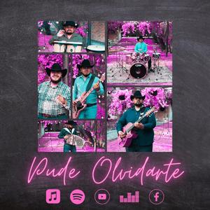 Pude Olvidarte