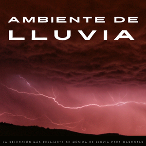 El Viaje De Mi Mejor Amigo