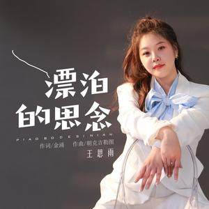 漂泊的思念 (伴奏)