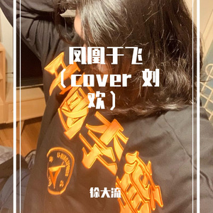 凤凰于飞 （cover 刘欢）（翻自 刘欢）