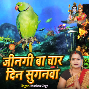 Jeengi Ba Chaar Din Suganava