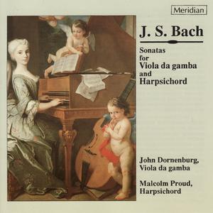 Sonata No.3 for Viola da Gamba and Harpsichord in G Minor, BWV 1029: I. Vivace
