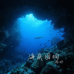海底回响
