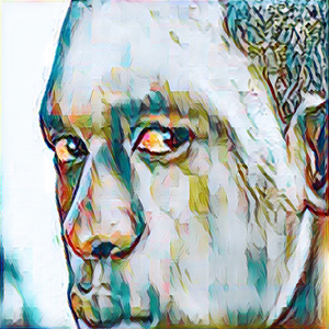 NTOUMA DU DJONKI