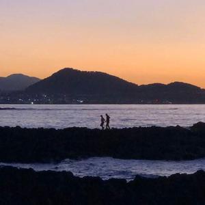 尘土（杨浏洋）