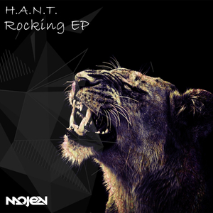 Rocking (Original Mix)