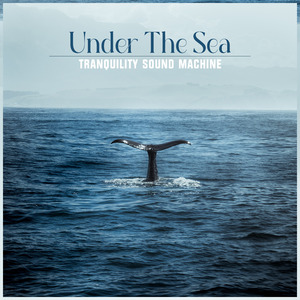 Under The Sea (Whales)