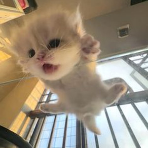 You're Perfect (sped up)