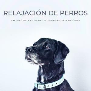 Canciones Peludas