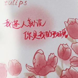 小宇_2022-03-25_204846