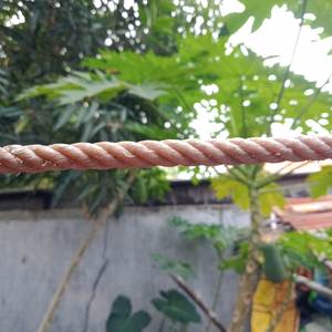 Silver Car Verb Perfect Farm Dear