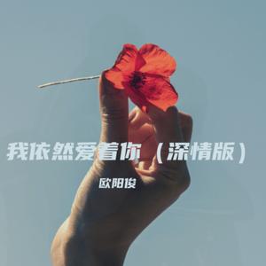 我依然爱着你-伴奏 (伤心版)
