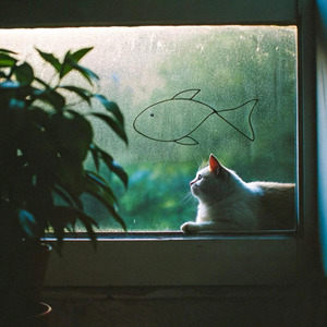 没本事之前 少学人情世故