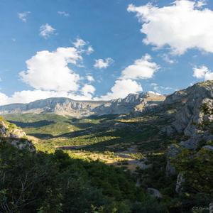 the Steppe of Kazakhstann