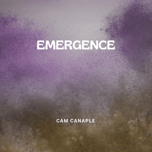 Emergence