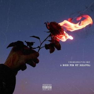 In Case You're Wondering I'm Lost