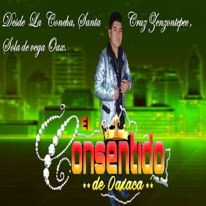 La ternerita