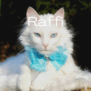 Raffi