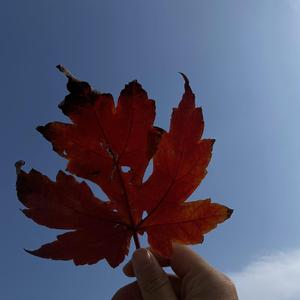 Going deep （纯音乐）