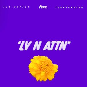 LV N ATTN (Speed Up)