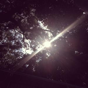 【3D】心电感应808