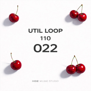 UTIL LOOP 022
