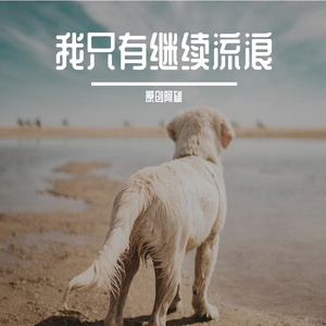 我只有继续流浪