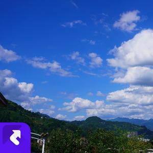 难舍难分一段情 (现场)