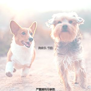 抚慰的小狗回忆