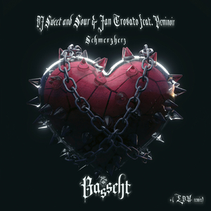 Schmerzherz (Lucem Demostrat Umbra (L.D.U.) Remix)