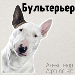 Бультерьер