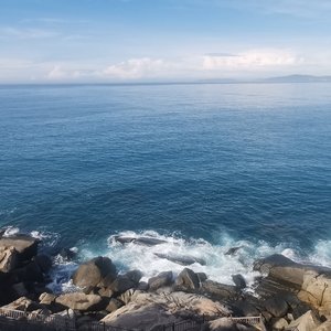 全世界都看出我爱你