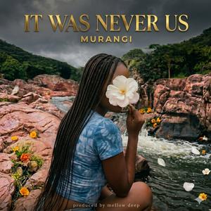 It Was Never Us (feat. Murangi)