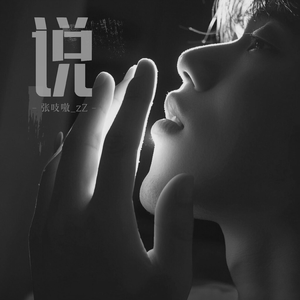 说