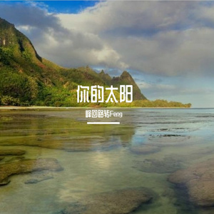 王天阳-你的太阳1.2X