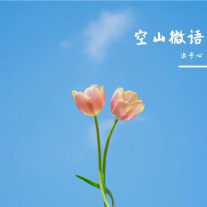 空山微语