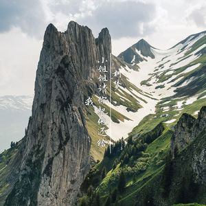 小姐姐请你把他还给我