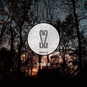 你的轮廓（Alexander Cover）