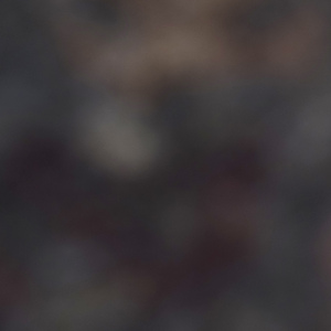 intro この思いのまま