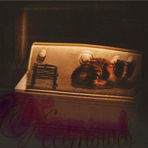 I'll Stay Alive, Jake