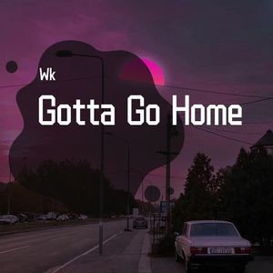 Mirah-gotta go home（VIKE remix）
